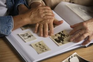 Brazilian Ancestors